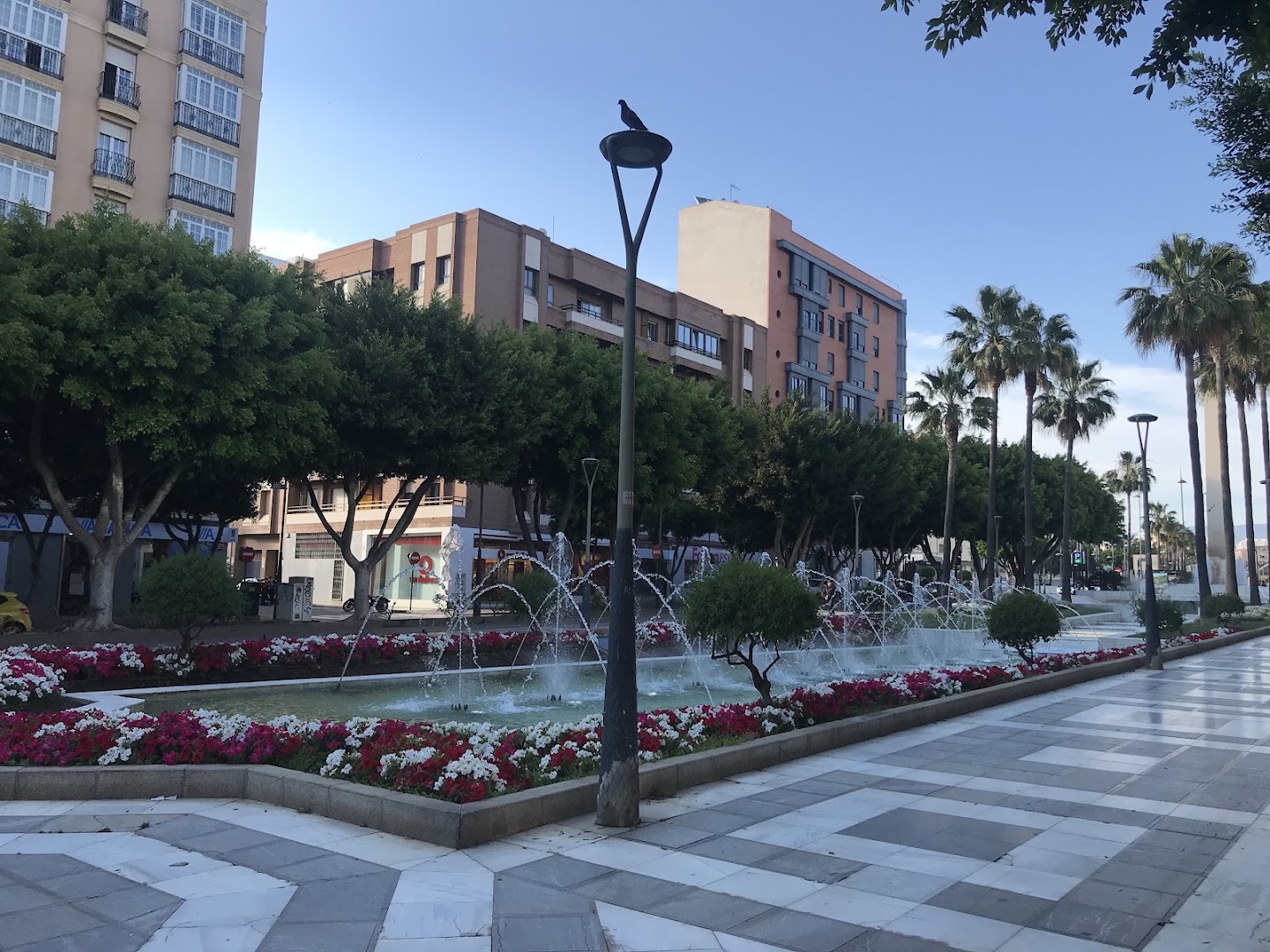 ALMERIA - Club deportivo en Almería