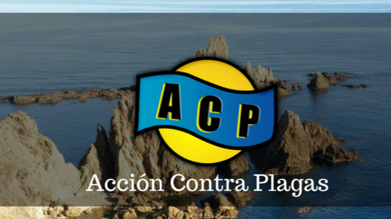 Acción Contra Plagas - Empresa de fumigación y control de plagas en Almería