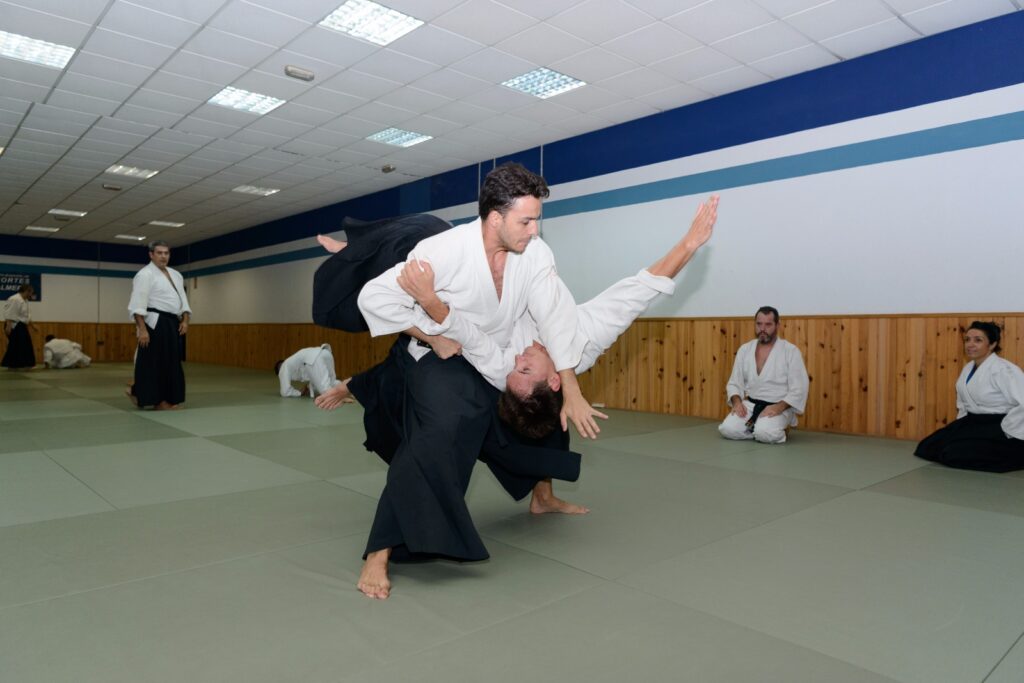 Almería Aikido Aikikai - Clases de Aikido en Almería - Escuela de aikido en Almería
