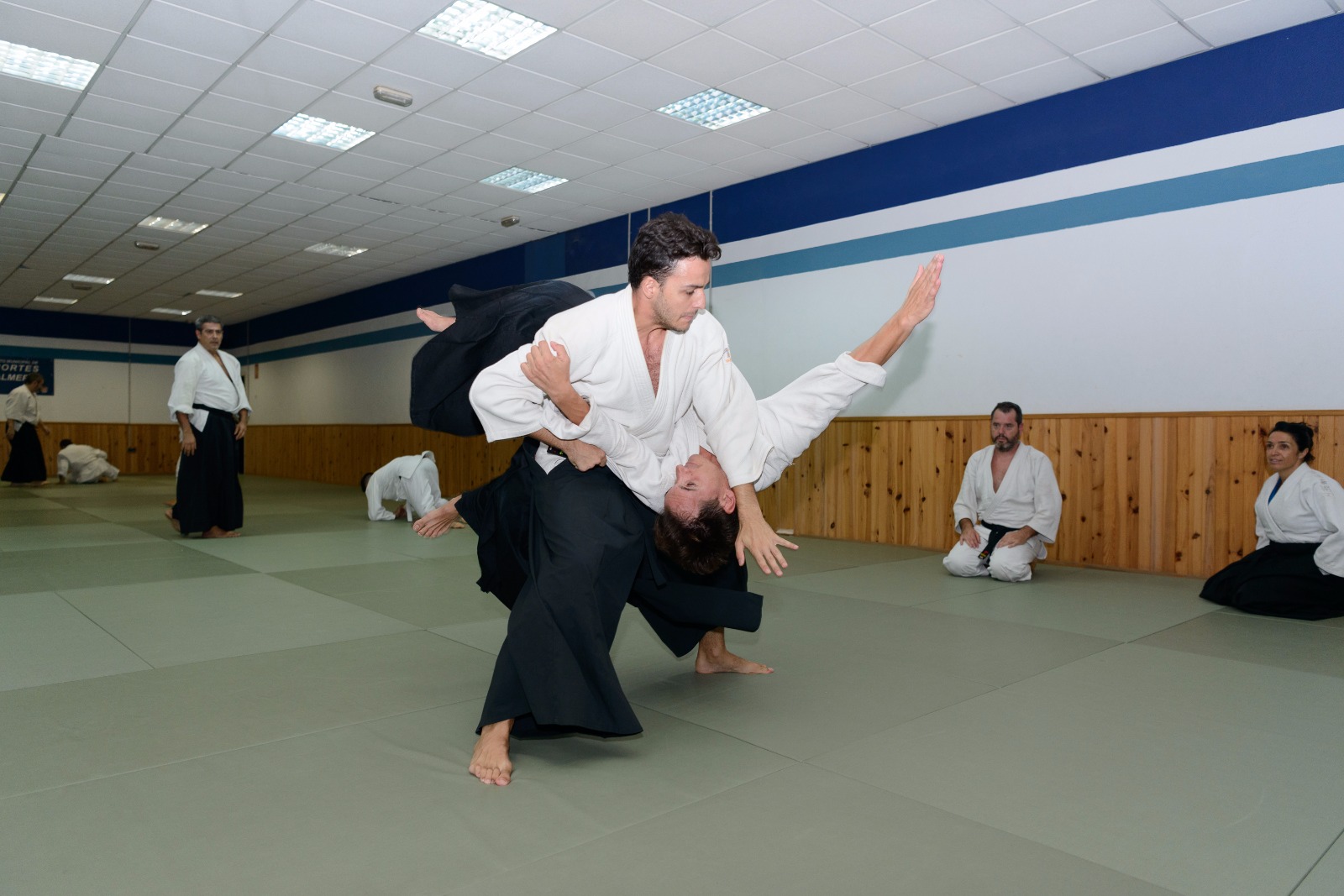 Almería Aikido Aikikai - Clases de Aikido en Almería - Escuela de aikido en Almería