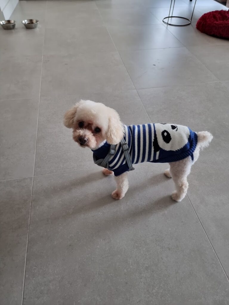 Animal Love - Peluquero de mascotas en Almería