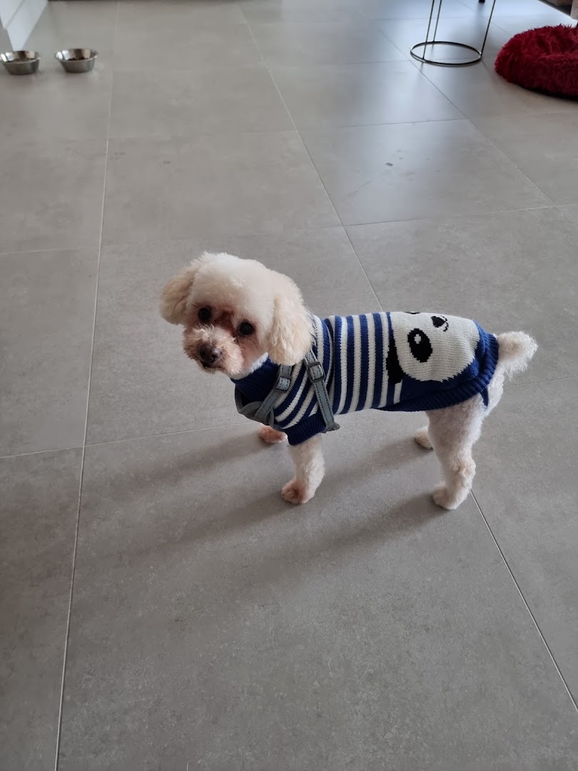 Animal Love - Peluquero de mascotas en Almería