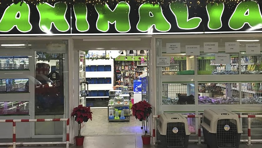 Animalia - Tienda de animales en Almería