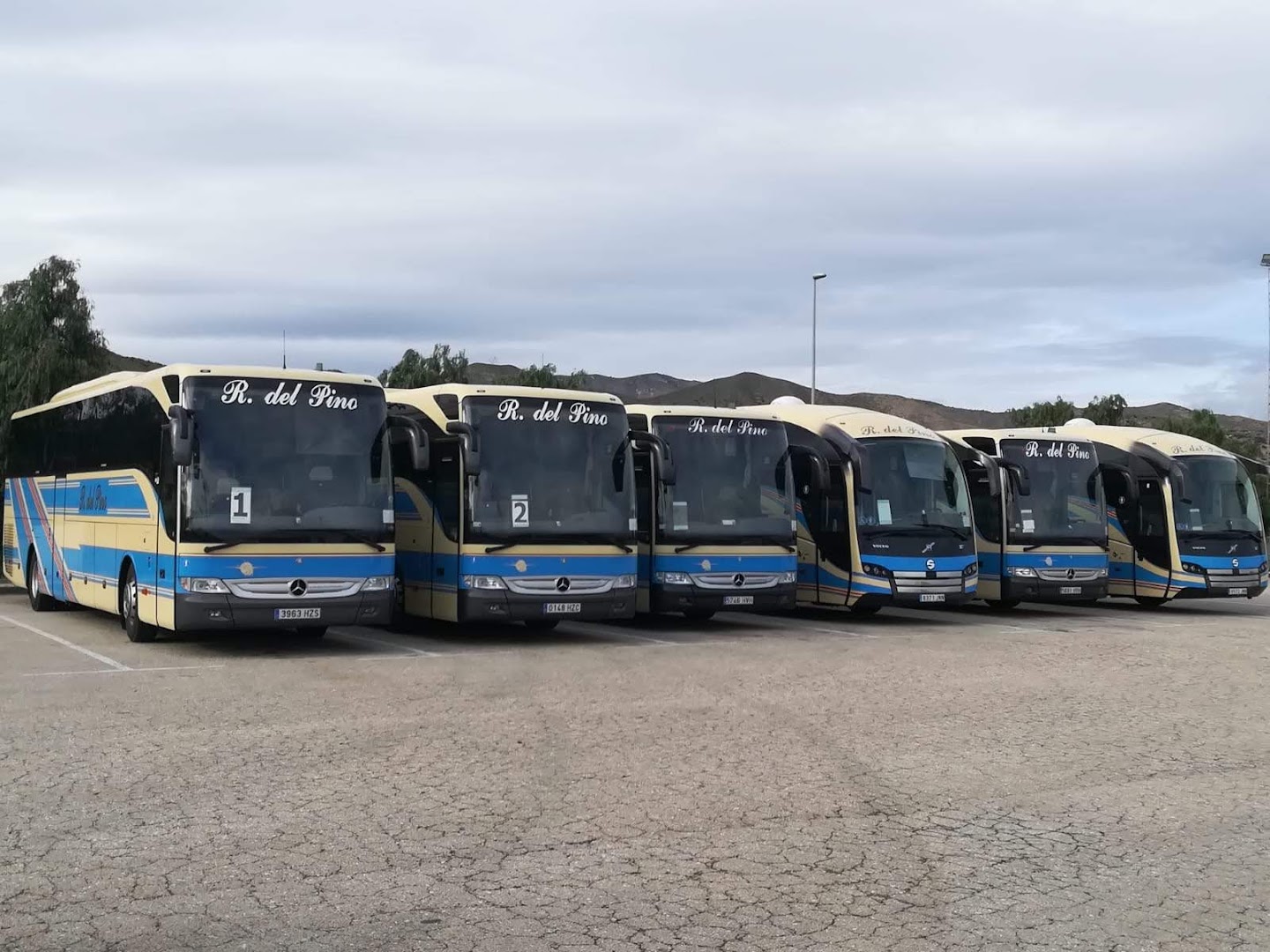 Autocares Ramón Del Pino - Agencia de alquiler de autobuses en Almería