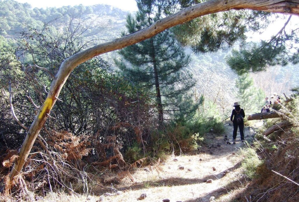 CAMINO MOZÁRABE DE SANTIAGO DE ALMERÍA-GRANADA - Lugar de peregrinación en Almería