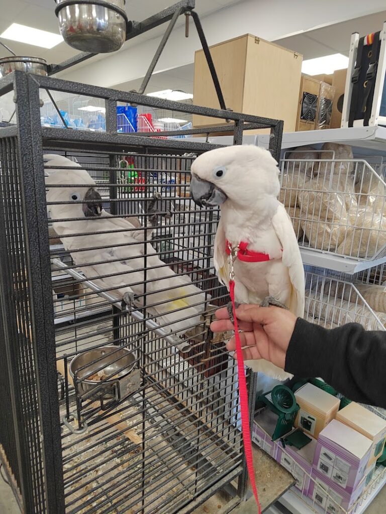 COMERCIAL AERALO - Tienda de alimentos para animales en Almería