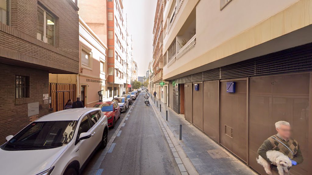 Camaleón Azul - Diseño web - Diseñador de sitios web en Almería
