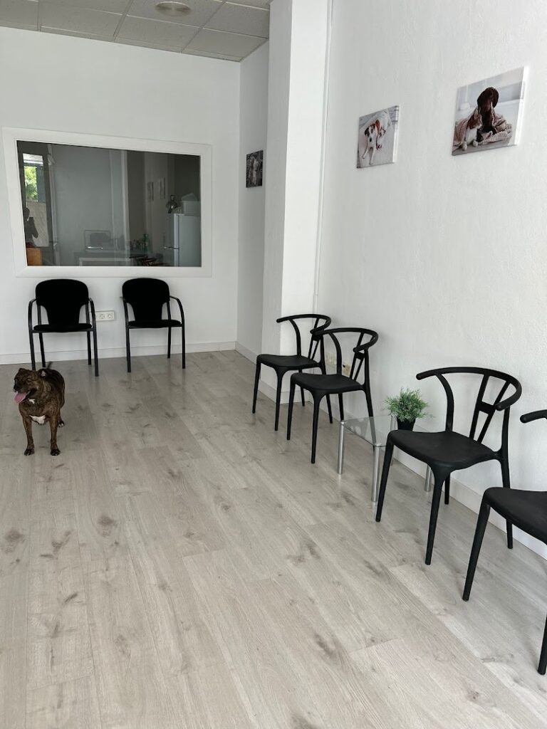 Centro Veterinario El Cercado - Veterinario en Huércal de Almería