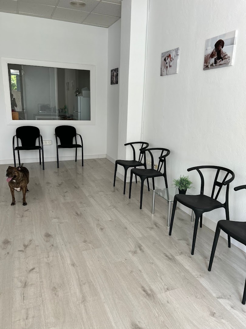 Centro Veterinario El Cercado - Veterinario en Huércal de Almería