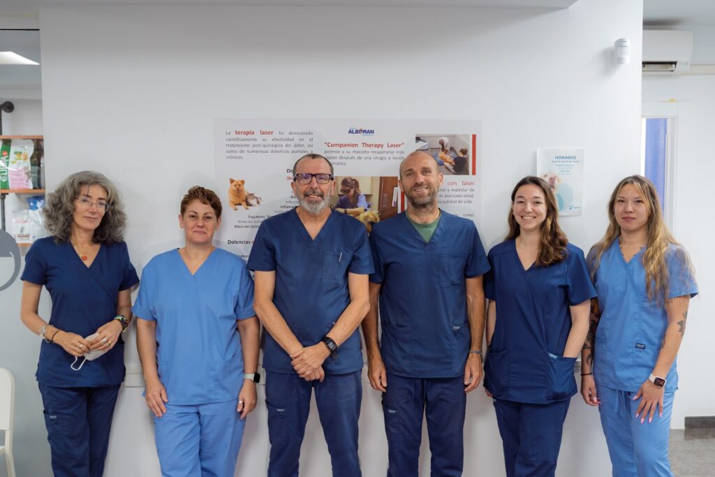 Clínica Veterinaria Alborán - Veterinario en Aguadulce
