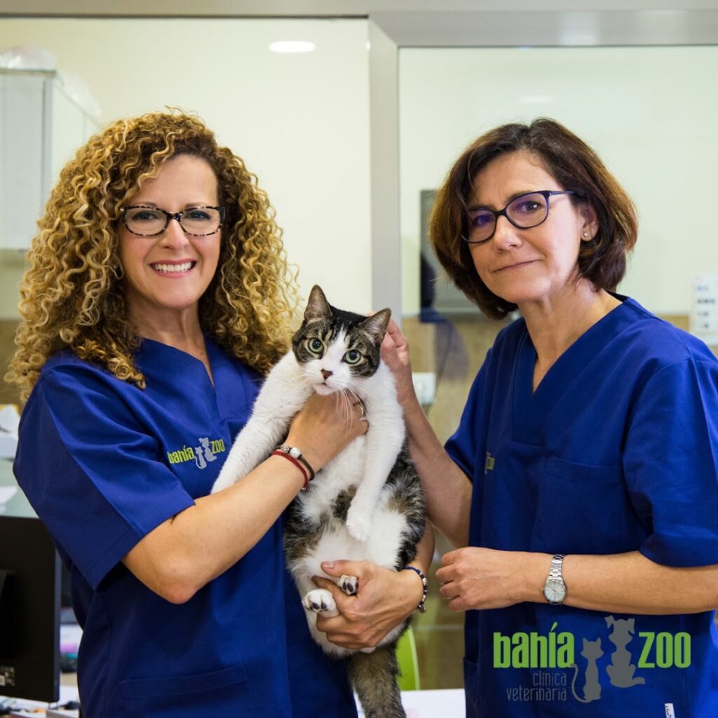 Clínica Veterinaria Bahía Zoo - Veterinario en Almería
