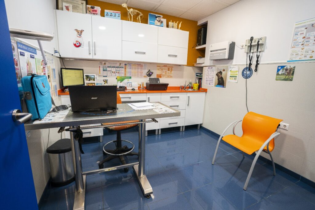 Clínica Veterinaria San Sebastián - Veterinario en Almería
