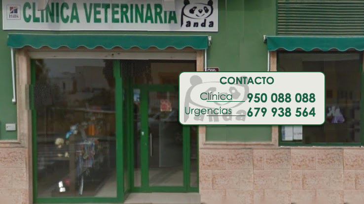Clínica Veterinaria en Almeria | Panda Veterinario - Veterinario en Huércal de Almería