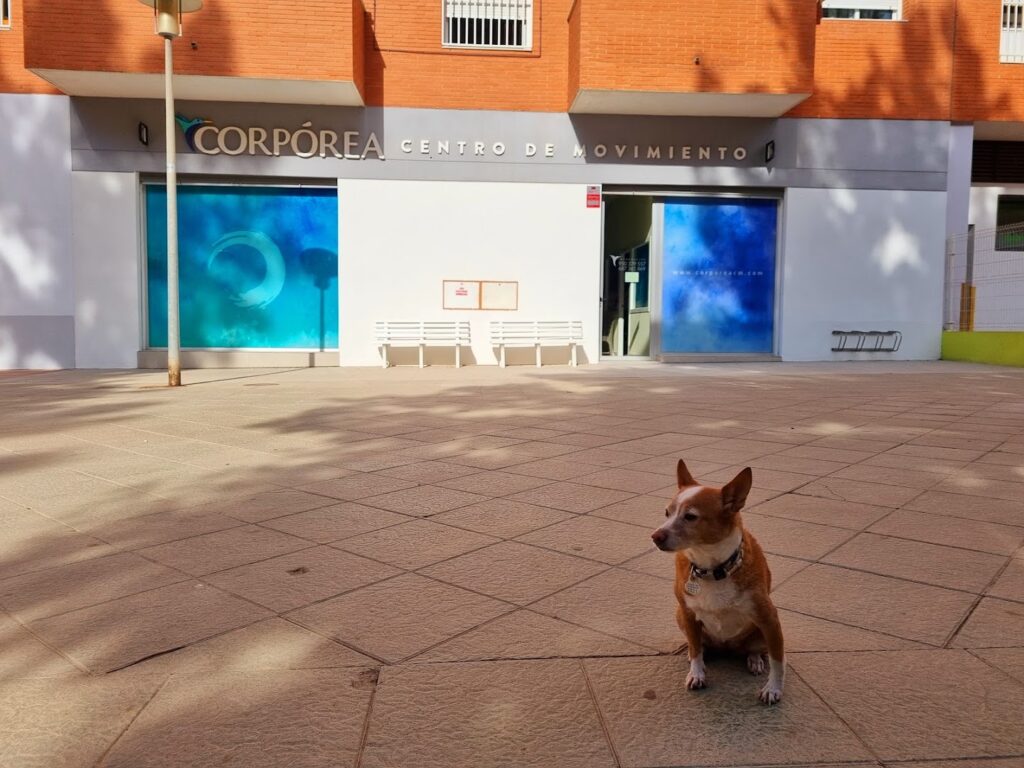 Corpórea Centro de Movimiento - Centro deportivo en Almería
