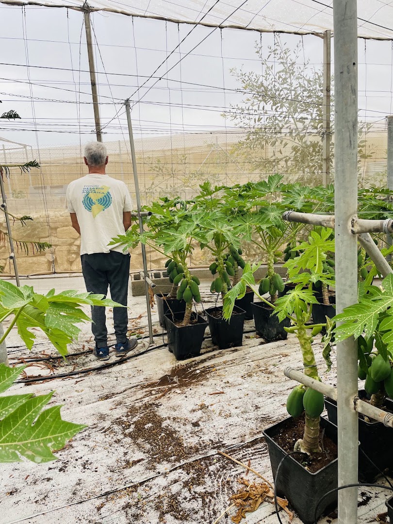 Cortijo el Reloj - Vivero en Almería