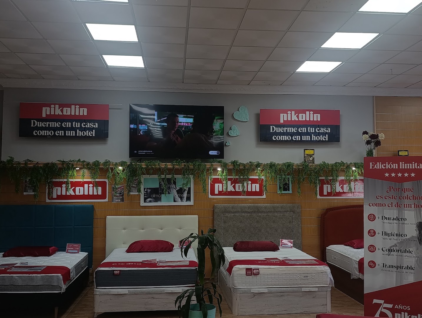 DORMILONES TALLER DEL SUEÑO - Colchonería en Almería