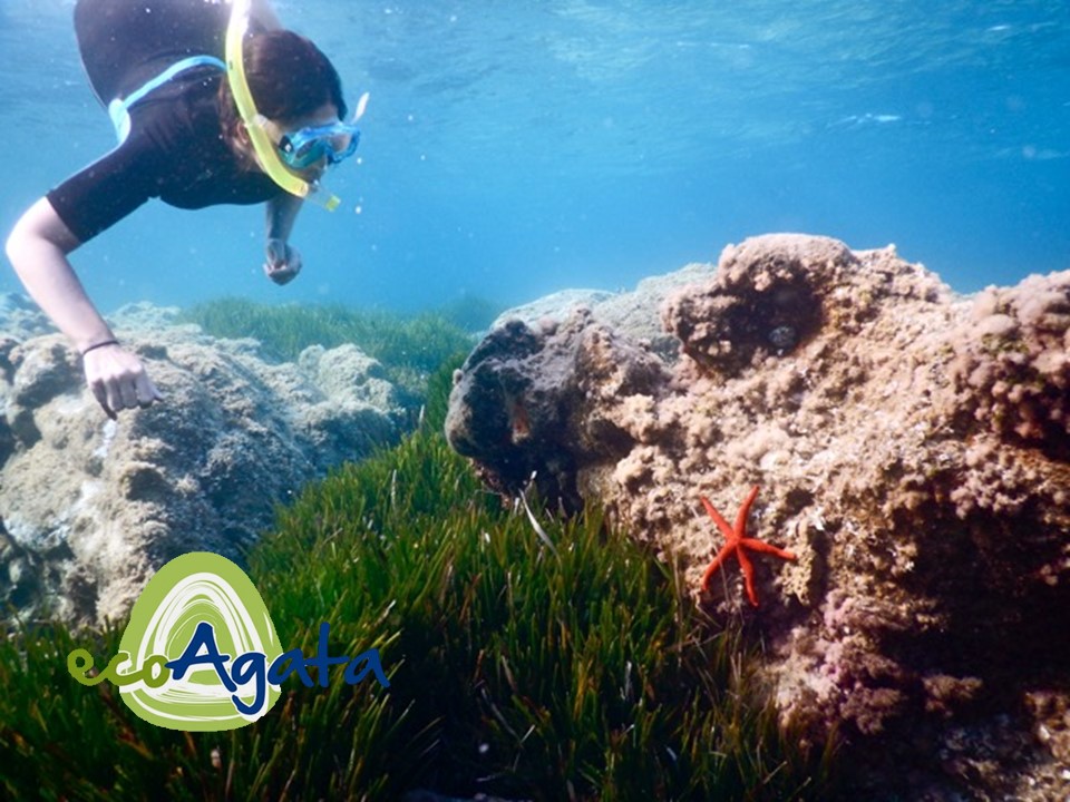 Ecoágata - Centro de buceo en Almería