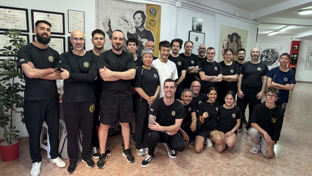 Escuela de Artes Marciales: Wing Chun Kung Fu Almería - Escuela de artes marciales en Almería
