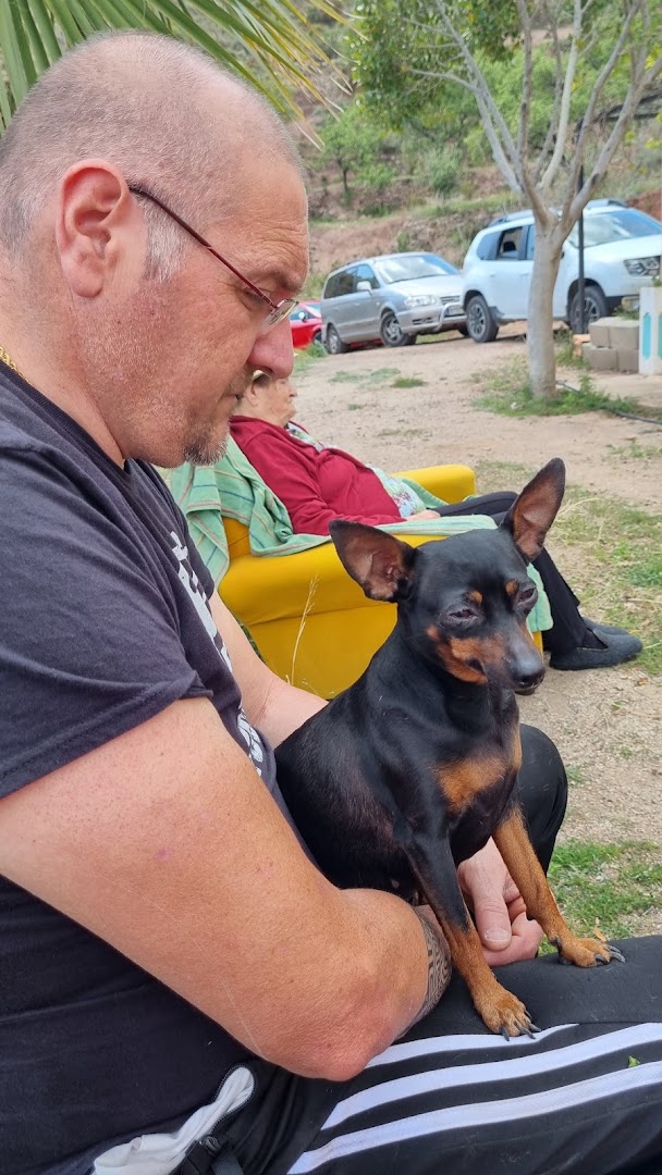 Europa Clinica Veterinaria - Cuidados veterinarios en Almería
