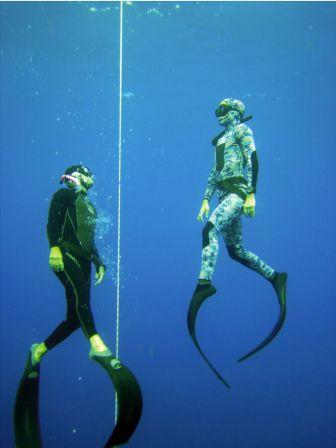 Federación Andaluza de Actividades Subacuáticas - Centro de deportes de aventura en Almería