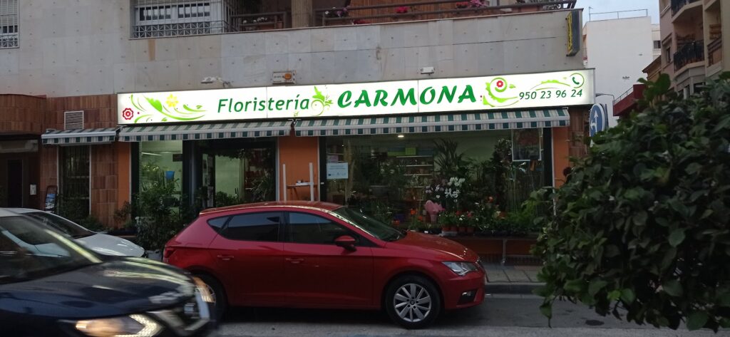Floristería Carmona - Floristería en Almería