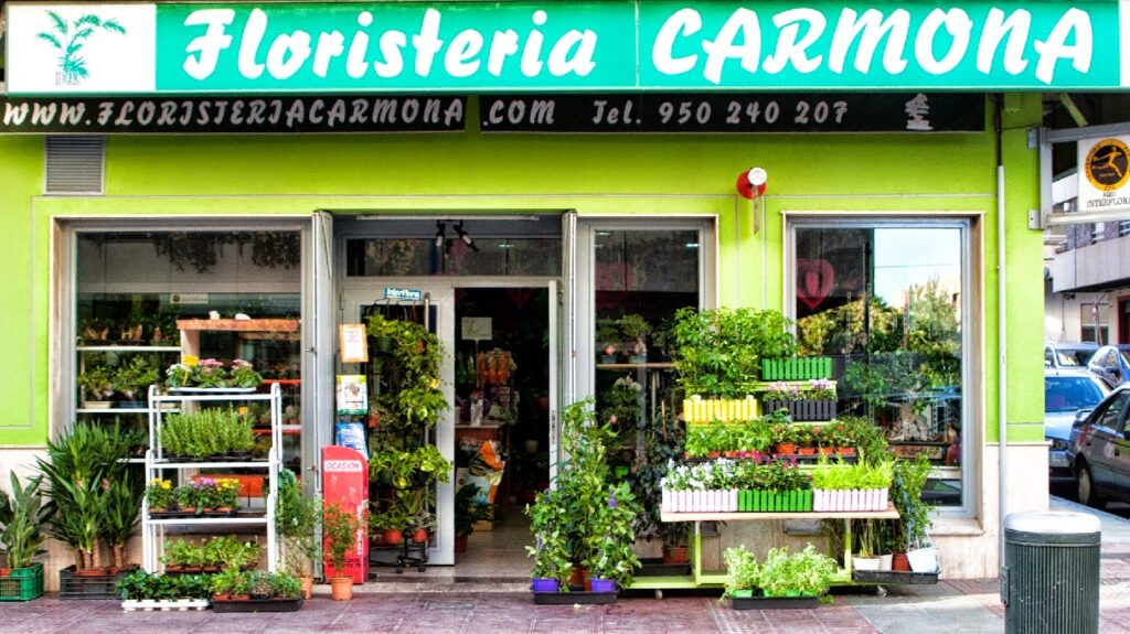 Floristeria Carmona Calzada David - Floristería en Almería