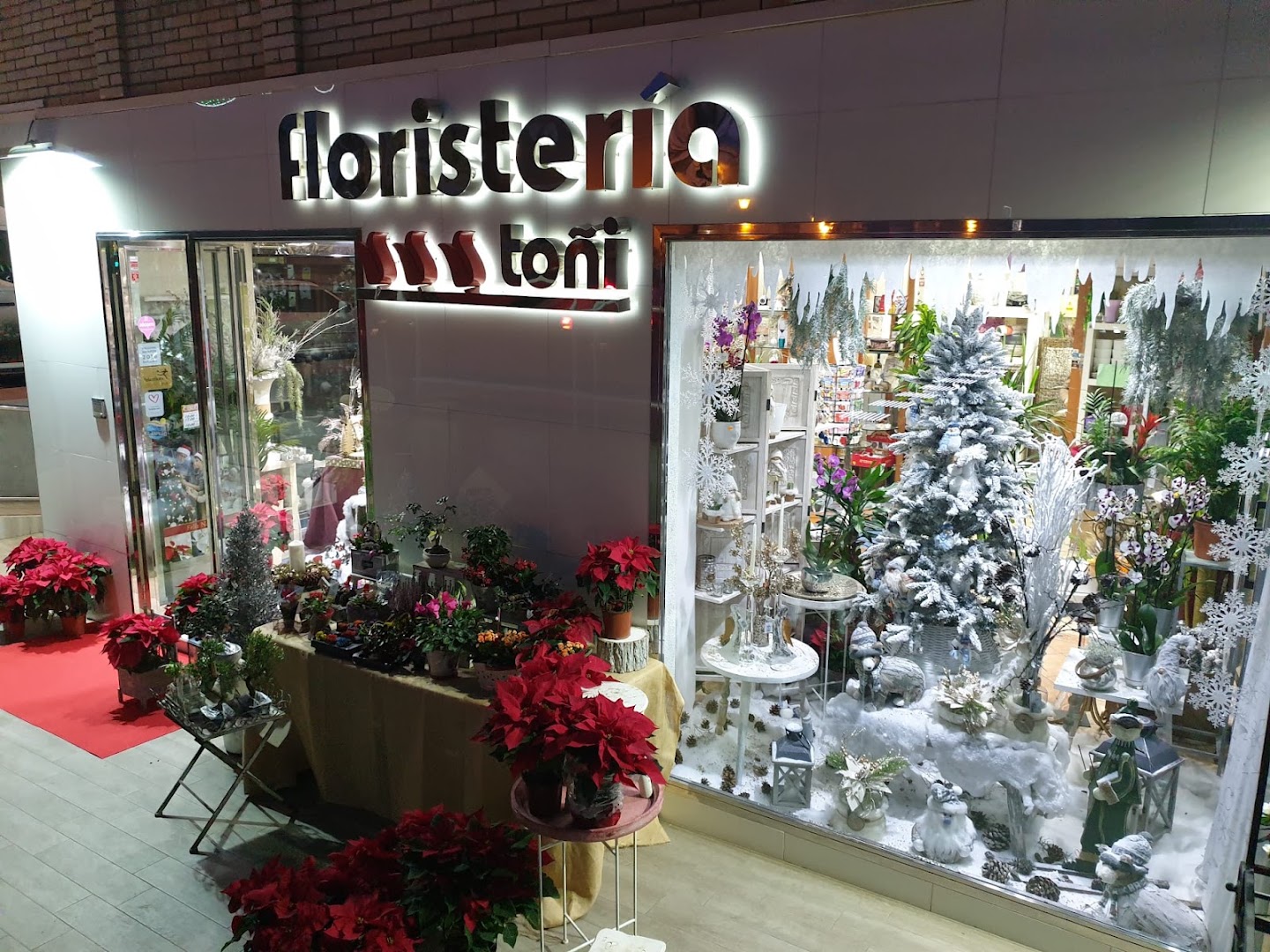 Floristería Toñi: Floristería en Almería - Floristería en Almería