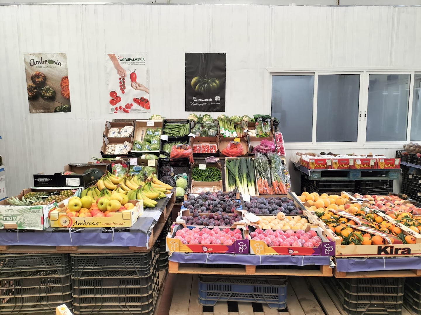 Frutas Vega de Acá S L - Frutería en Almería