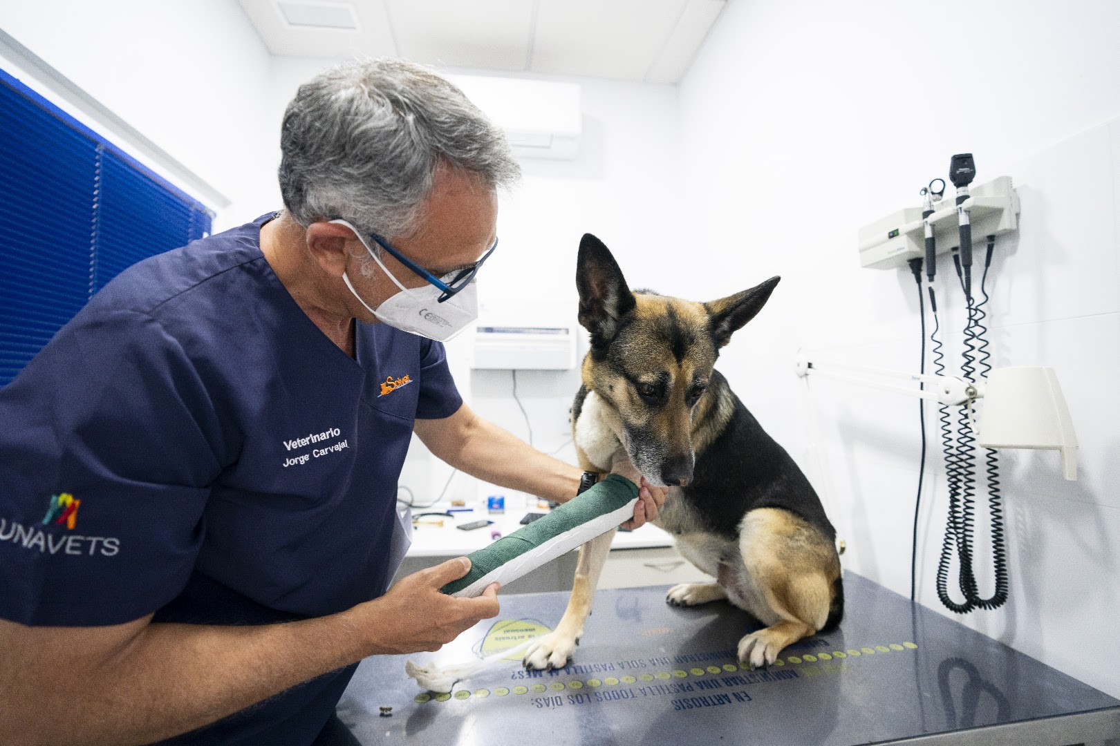 Hospital Veterinario Nueva Andalucía - Veterinario en Almería
