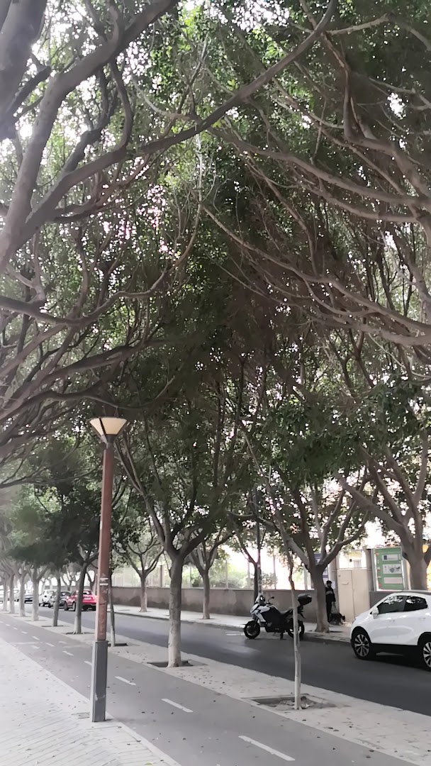 IES Maestro Padilla - Instituto de secundaria en Almería