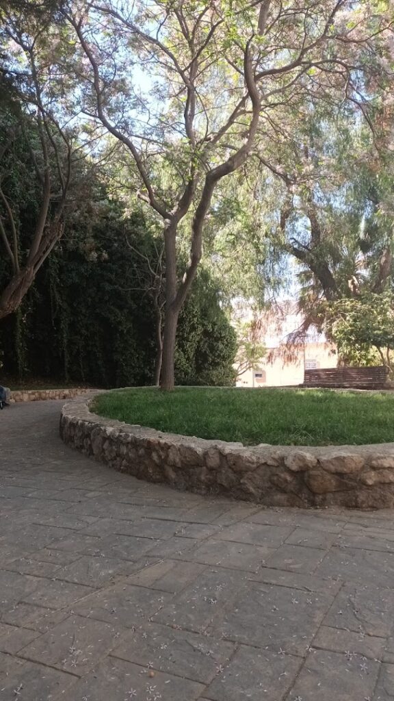 JARDIN DE LA YEDRA - Jardín en Almería
