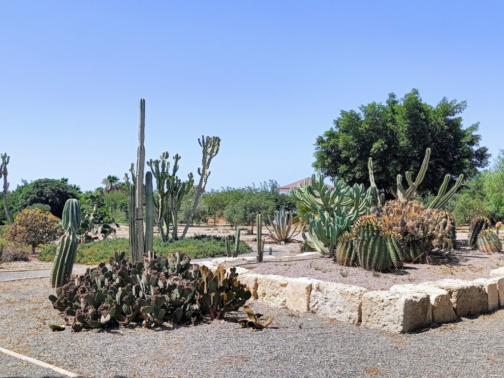 Jardín de Cactus - Jardín en Almería