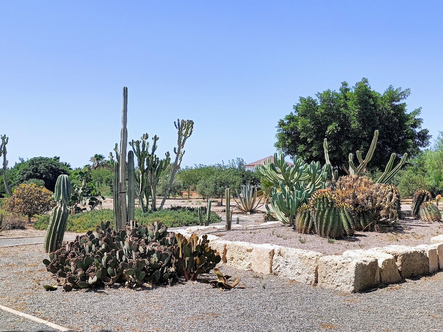 Jardín de Cactus - Jardín en Almería