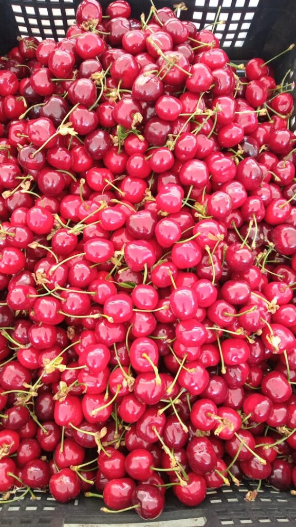La Huerta De Alhama Fruteria - Tienda de alimentación en Almería