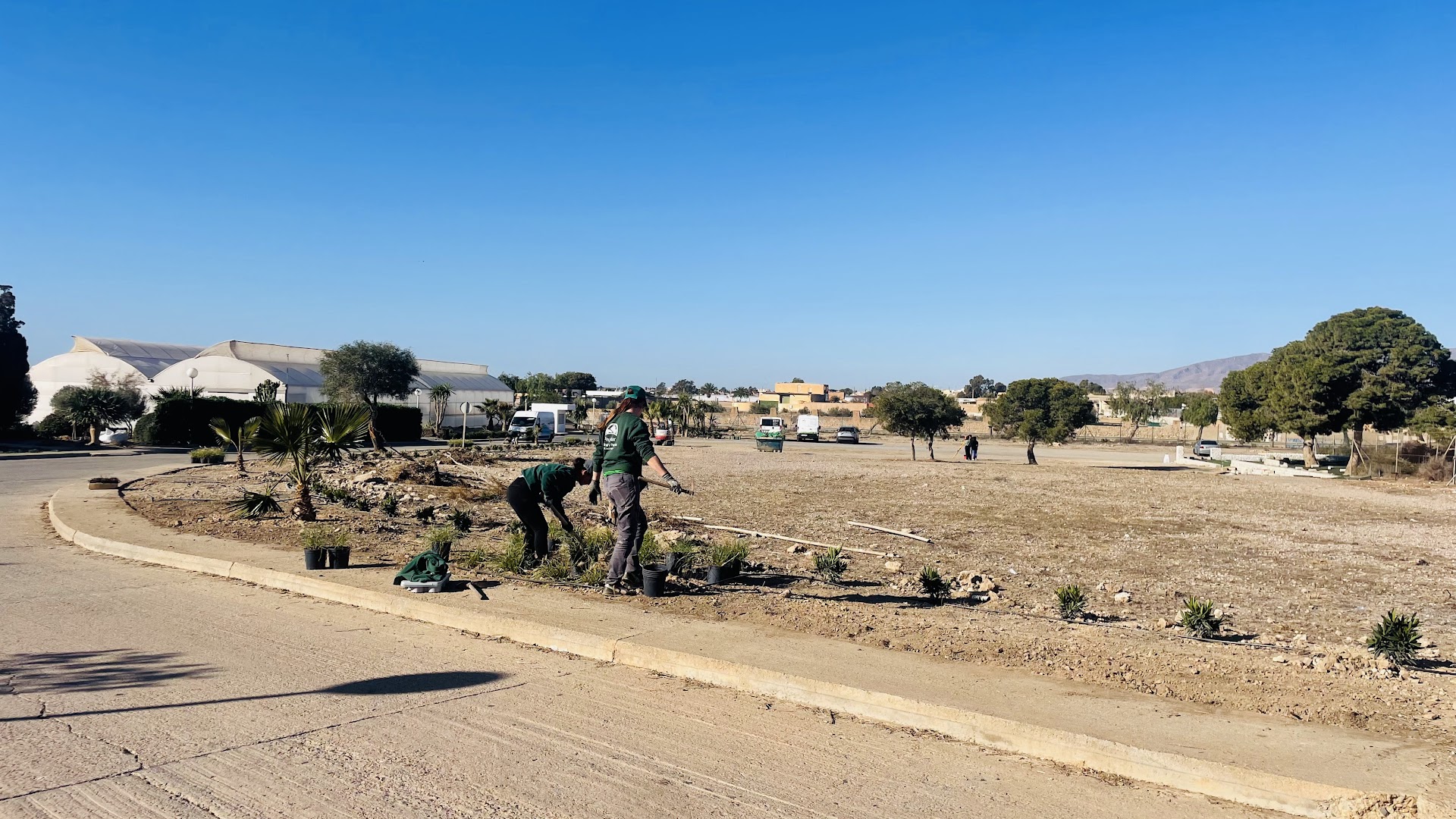 Ornamentales Paumar - Empresa de jardinería y mantenimiento de piscinas en Almeria - Jardinero en La Cañada