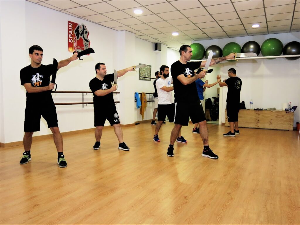 PVT Almería - Ving Tsun Kung Fu