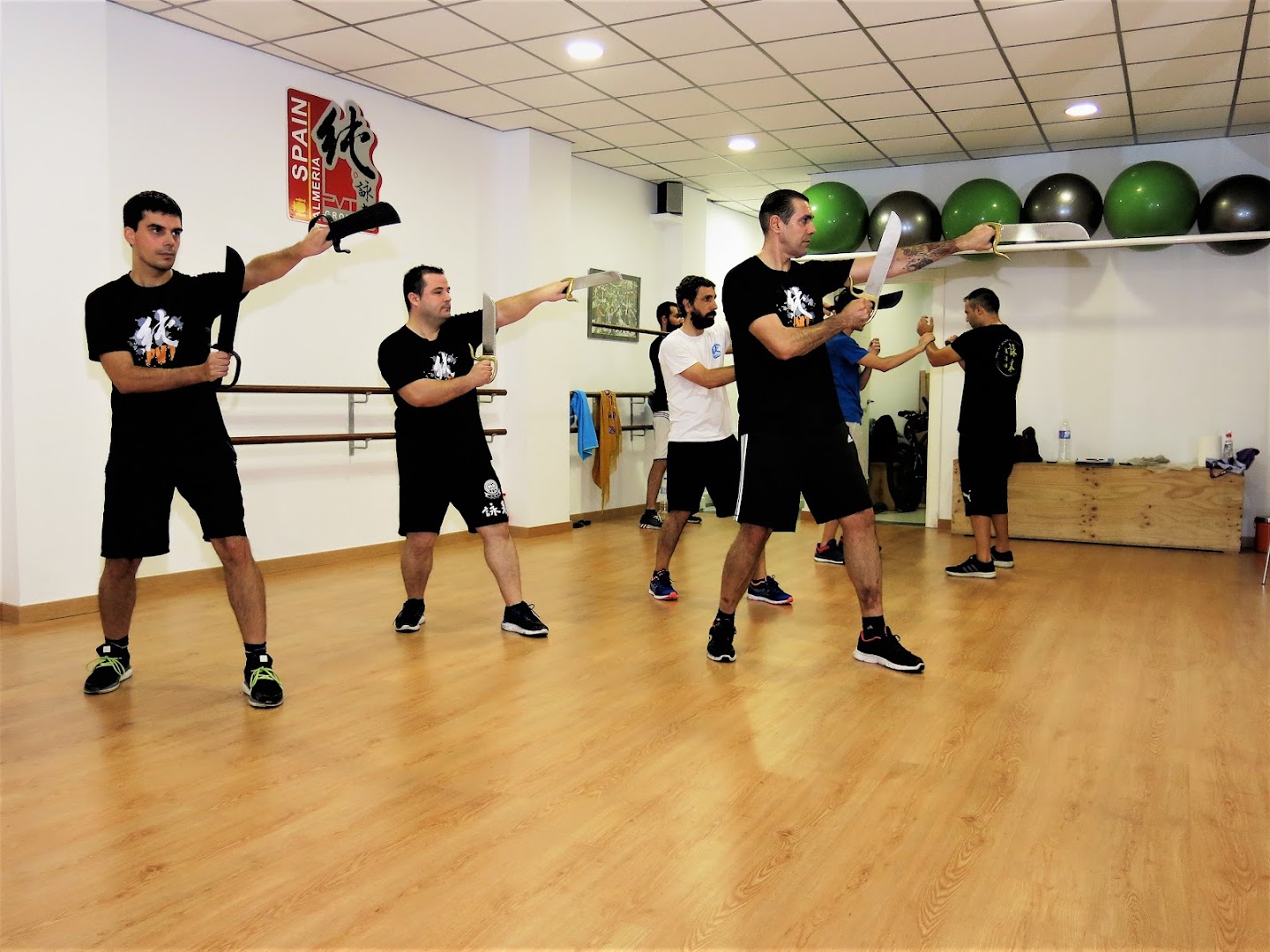 PVT Almería - Ving Tsun Kung Fu