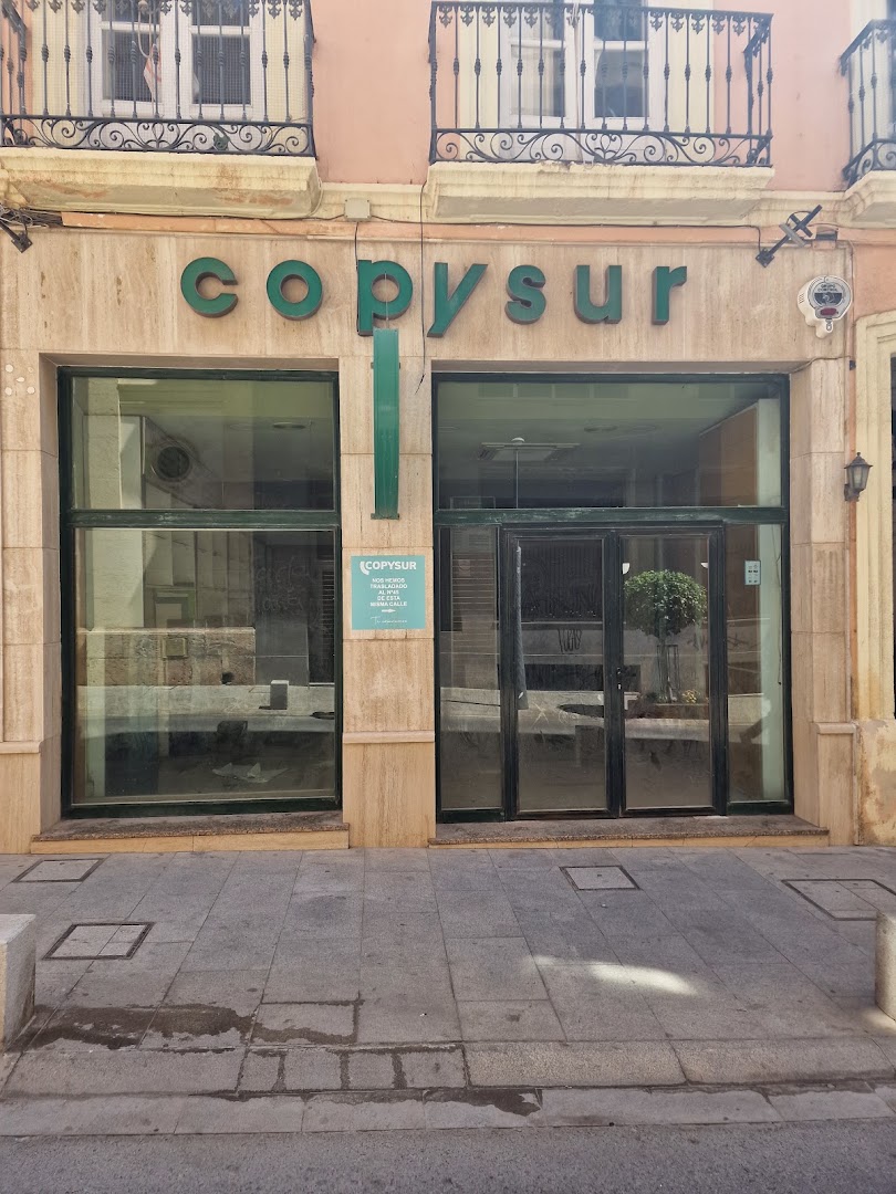 Papelería y Copistería Copysur Reyes Católicos - Papelería en Almería