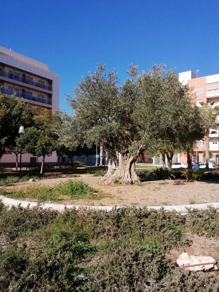 Parque Centro - Parque en Almería