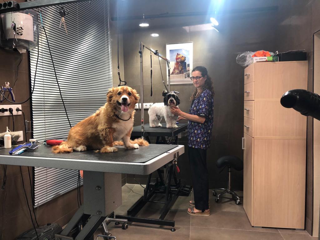 Peluquería canina Amazonia - Peluquero de mascotas en Almería