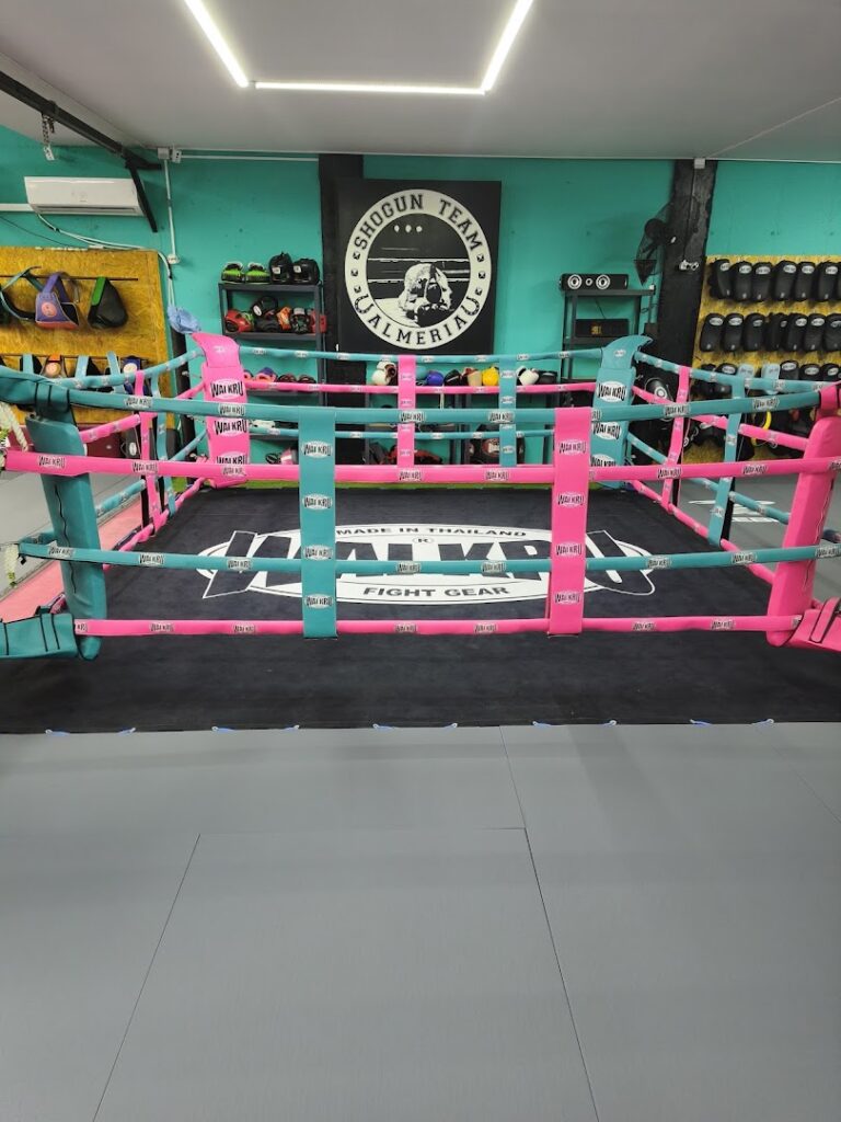 Shogun Muaythai & Boxing club - Gimnasio de boxeo Muay Thai en Almería