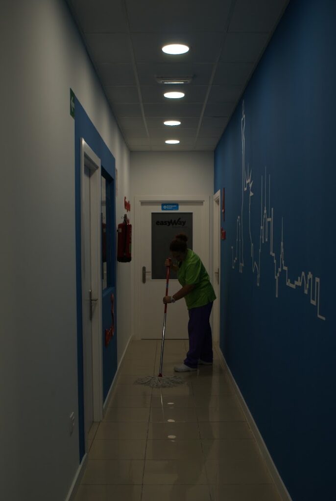 Solinser - Servicio de limpieza doméstica en Almería