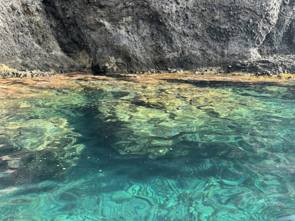 Surcando el Cabo - Agencia de excursiones en barco en
