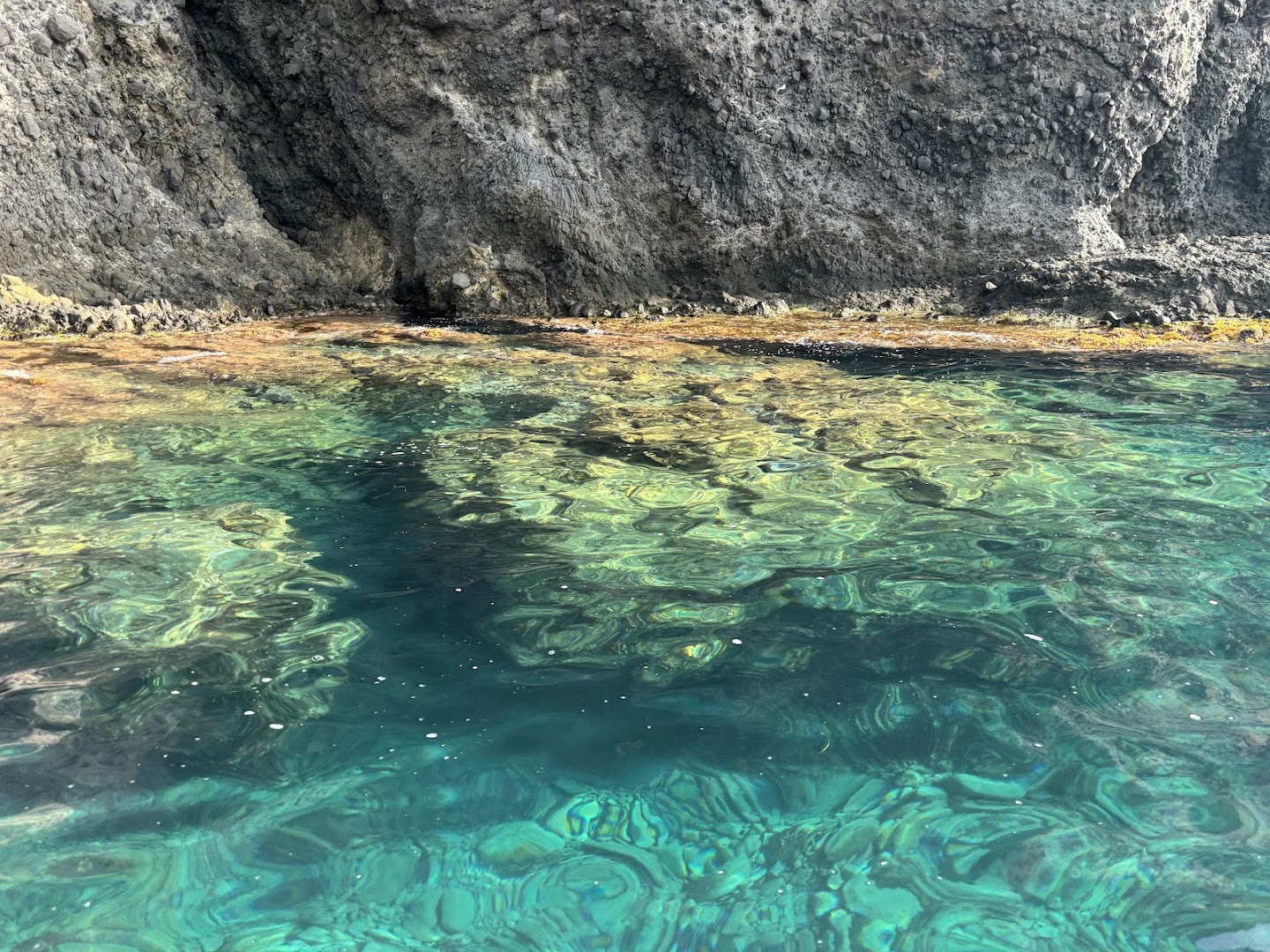 Surcando el Cabo - Agencia de excursiones en barco en