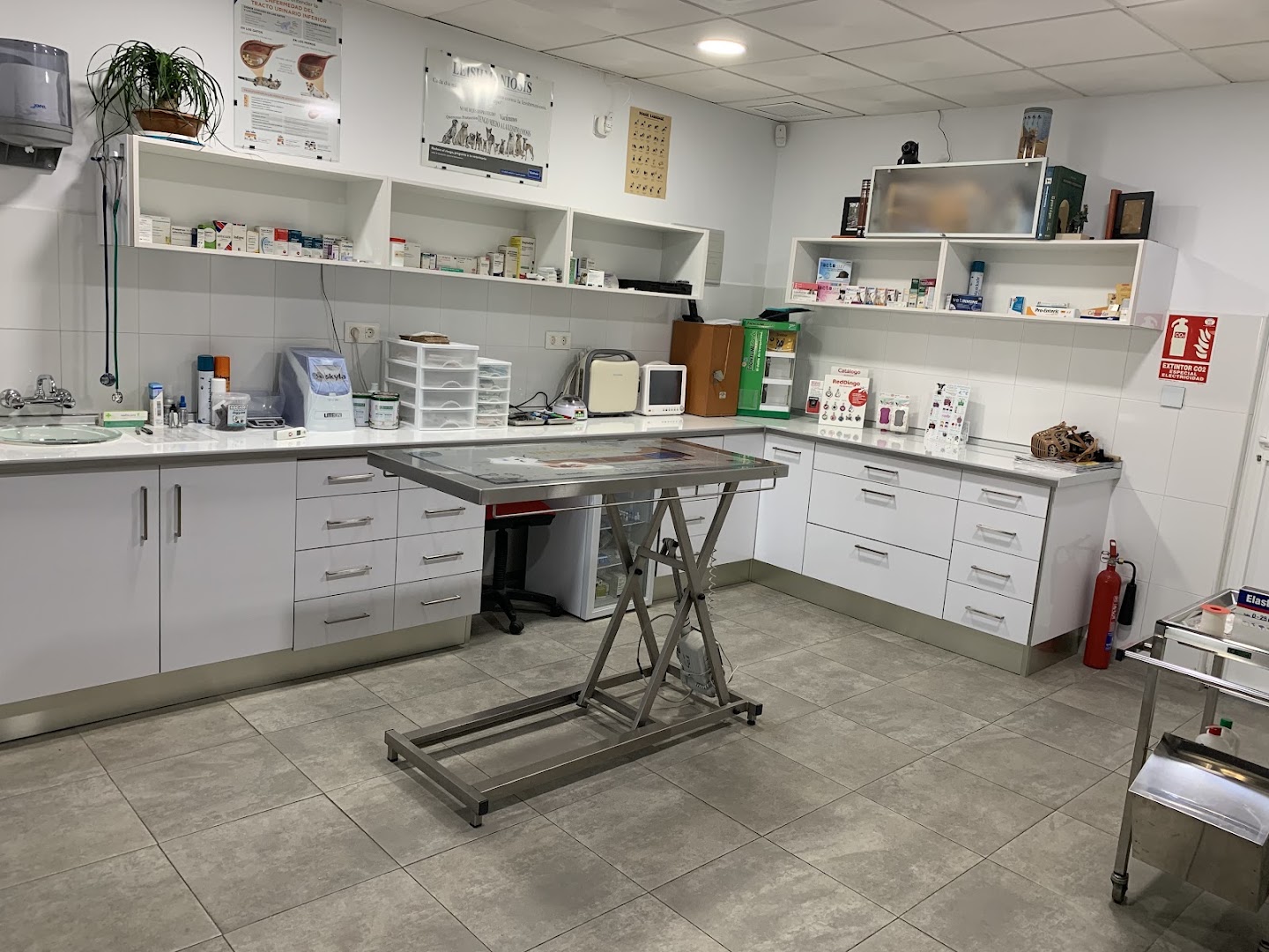 vet Clínica veterinaria - Veterinario en Almería